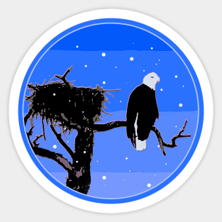 Bald Eagle in Winter Sticker